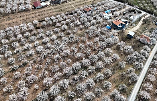 Malatya beyaz gelinliğini giydi