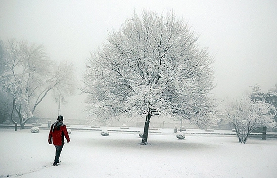 Malatya Buz Kesti: Gece En Soğuk Havayı O İlçe Yaşadı!