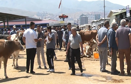 Fiyatlar arttı, talep azaldı: Malatya'da Kurban Pazarı beklenen hareketliliği göremedi!