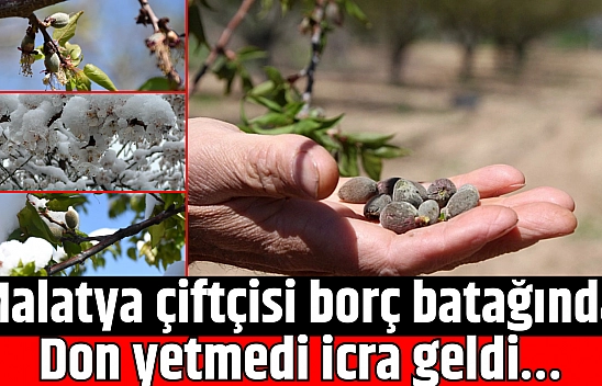 Malatya çiftçisi borç batağında: Don yetmedi icra geldi…