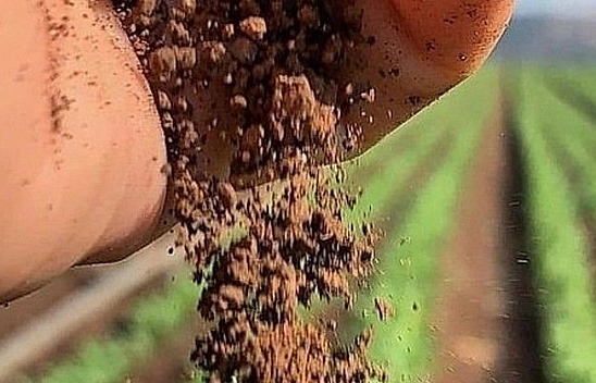 Malatya Çiftçisine Destek Yağmuru: Hesaplara 1 milyar 445 milyon 424 bin Lira Aktarılıyor…