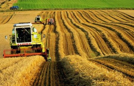 Malatya Çiftçisine Destek Yağmuru: Limitler Yükseldi…