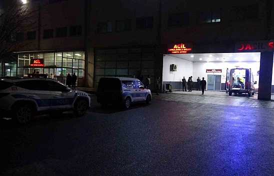 Malatya'da dut ağacı kavgası kanlı bitti: 4 yaralı