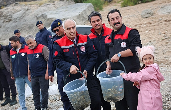 Malatya'da 1,3 milyon sazan suya bırakıldı