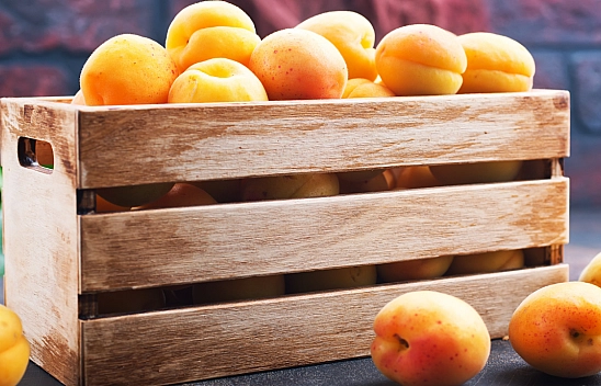 Malatya'da 100, Almanya'da Bin TL: Üretici Zararda, Tüccar Kar Baskınında!