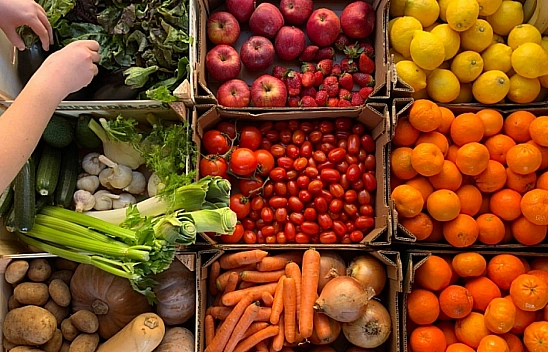 Malatya'da 15 Kasım Hal Fiyatları: Meyve ve Sebze Fiyatları Ne Kadar? İşte Güncel Fiyat Listesi…