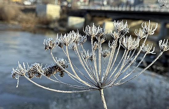Malatya'da 19 Kasım'da hava nasıl olacak? Yağış ve rüzgar uyarısı var mı?