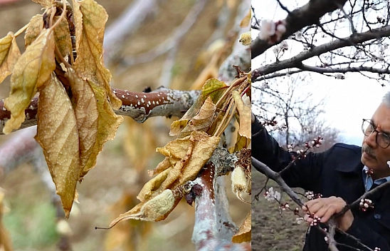 Malatya 2 don olayını aynı anda yaşadı...