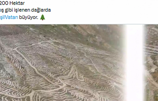 Malatya'da 200 hektar alan yeşile bürünüyor!