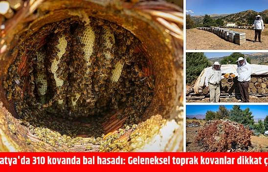 Malatya'da 310 kovanda bal hasadı: Geleneksel toprak kovanlarla üretiliyor