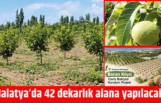 Malatya'da 42 dekarlık proje! Üretime katkı sağlayacak