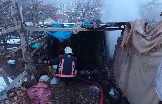 Malatya'da 25 küçükbaş hayvan telef oldu