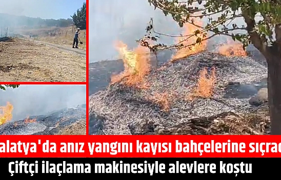 Malatya'da anız yangını kayısı bahçelerine sıçradı! Çiftçi ilaçlama makinesiyle alevlere koştu
