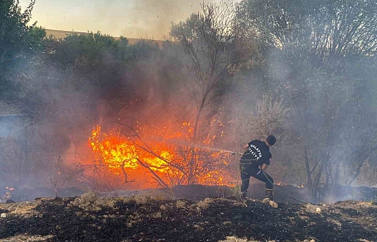 Malatya'da anız yangını: Onlarca dönüm küle döndü...