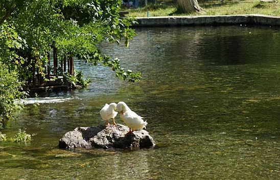 Malatya'da Artan Sıcaklıklara Karşı Serin Bir Kaçış: İşte Şehrin En Güzel Piknik Alanları!