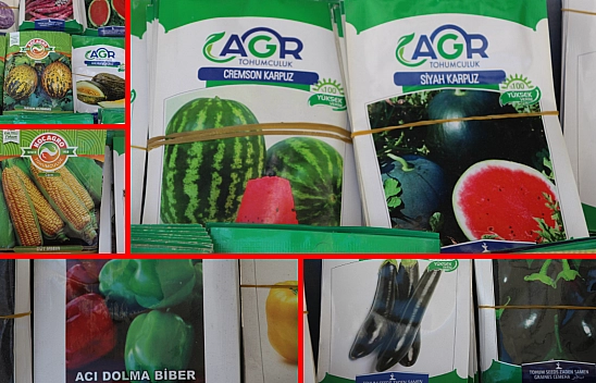 Malatya'da bahar bereketi: Tohumlar tezgahlarda, çiftçi tarlada….!