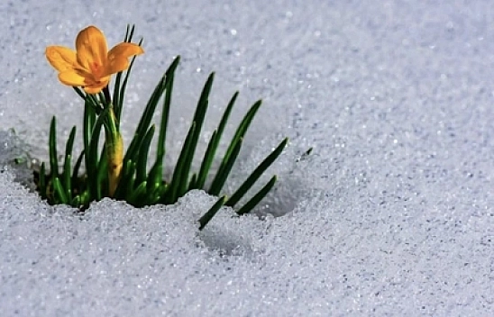 Malatya'da Bahar Müjdesi! Cemreler Toprağa Ne Zaman Düşecek?