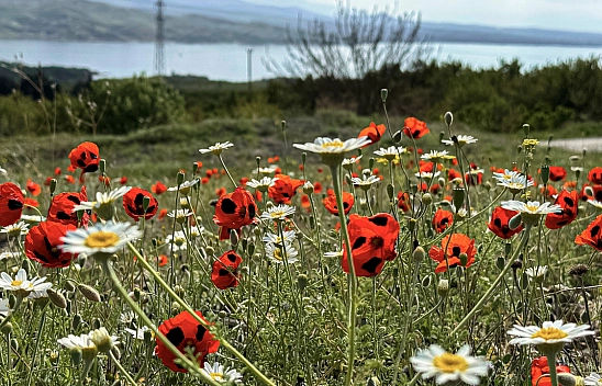 Malatya'da bahar tadında hava: Sıcaklıklar 32 dereceye kadar yükseliyor