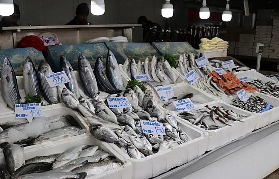 Malatya'da balık bolluğu, satışları arttırdı