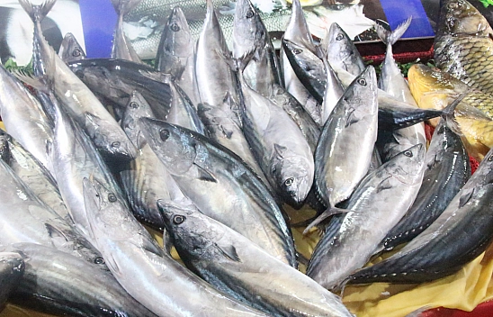 Malatya'da Balık Fiyatları Şaşırttı: İşte Güncel Liste