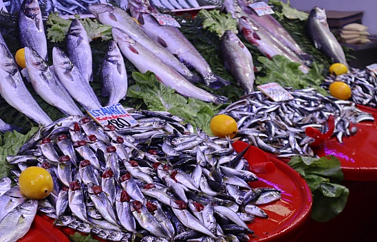 Malatya'da Balık Sezonu Başladı! En Ucuz Balık Hangisi? İşte Fiyatlar...