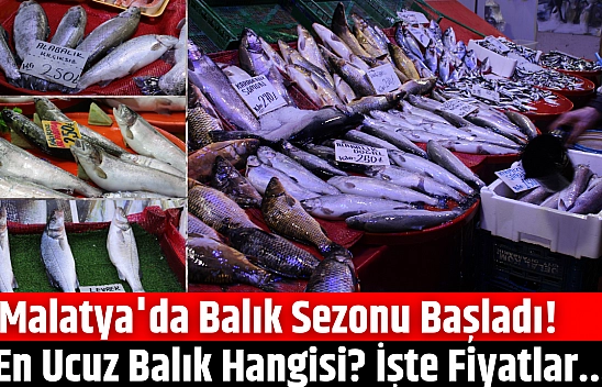 Malatya'da balık sezonu başladı! En ucuz balık hangisi? İşte fiyatlar...
