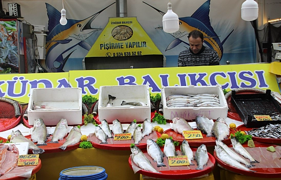 Malatya'da balık sezonu kapandı: Son dönemin balıkları hangileri? Hamsi mi, Somon mu?