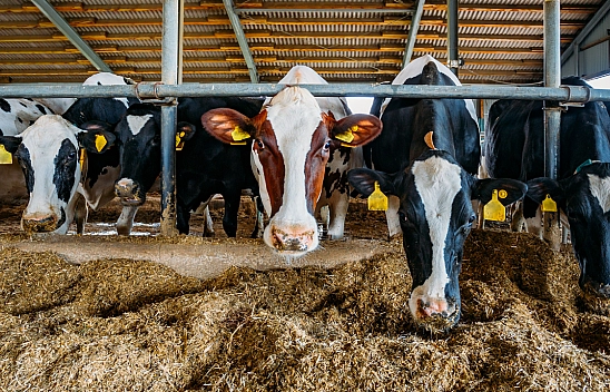 Malatya'da besi OTB'nin üstyapı çalışmaları sürüyor