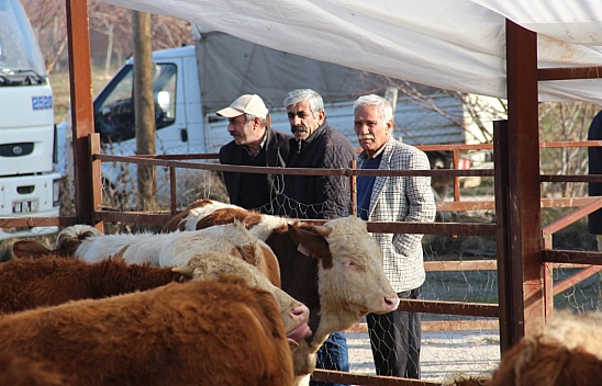 Malatya'da besilik dana ve ekipman dağıtıldı