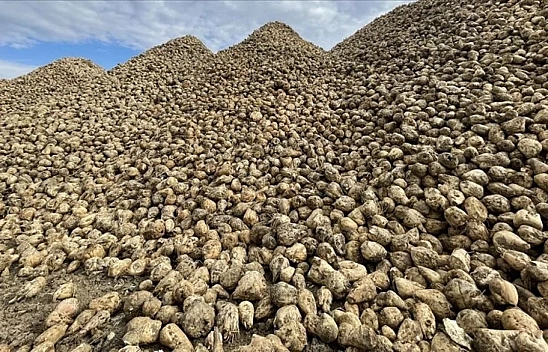 Malatya'da bir ilk! Dışa bağımlılık azalacak!