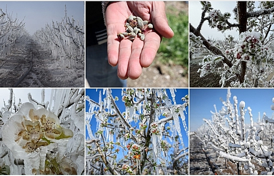 Malatya'da borcu olan çiftçiler dikkat! Artık verilmeyecek…