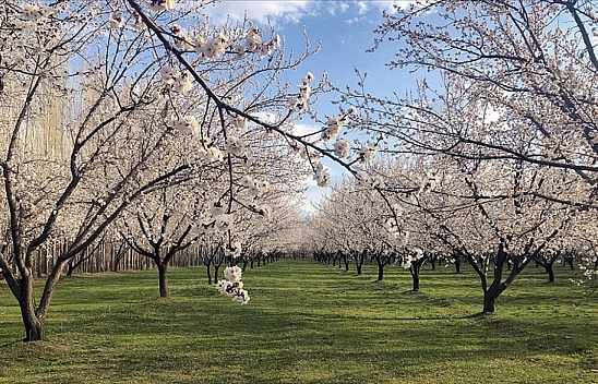 Malatya'da bugün hava nasıl olacak?