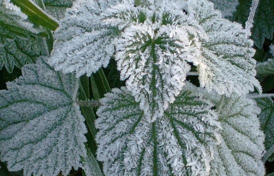 Malatya'da Bugün Hava Nasıl Olacak?