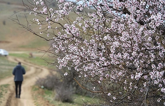 Malatya'da bugün hava nasıl olacak, yağış var mı?