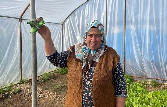 Malatya'da çiftçiler kolları sıvadı! Fideler toprakla buluştu...