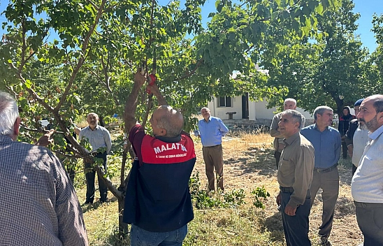 Malatya'da çiftçilere uygulamalı eğitim