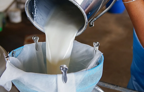 Malatya'da çiğ süt fiyatları belli oldu