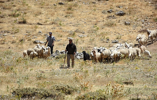 Malatya'da Deprem Sonrası Büyük Hamle: Güçleniyor...