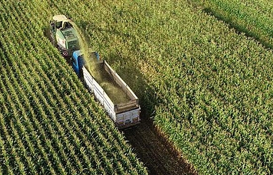 Malatya'da destek ödemeleri için  geri sayım!