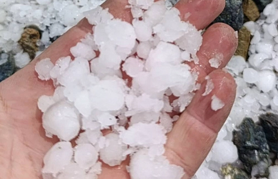 Malatya'da dolu kayısı bahçelerine zarar verdi