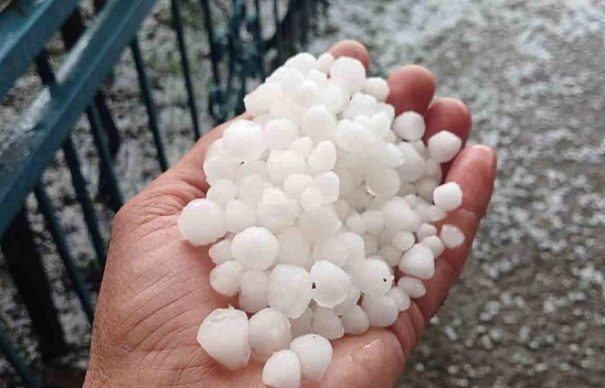 Malatya'da dolu kayısı bahçelerine zarar verdi