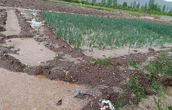 Malatya'yı şiddetli yağış: Tarım arazileri su altında kaldı