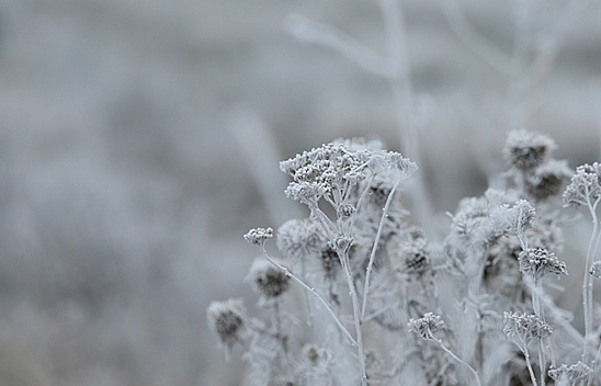 Malatya'da Buzlanmaya ve Don Olaylarına Dikkat! İşte Hava Durumu...