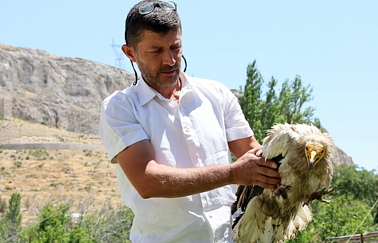 Malatya'da duyarlı vatandaş nesli tehlikedeki akbabayı kurtardı