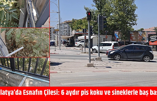 Malatya'da Esnafın Çilesi: 6 aydır pis koku ve sineklerle baş başa!