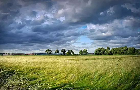 Malatya'da fırtına alarmı: Vatandaşlar uyarıldı! Saatte 80 km hızla esecek...