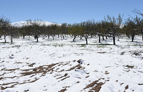 Malatya'da hasar tespit çalışması yapılıyor!