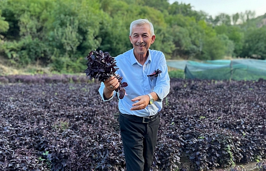 Malatya'da Hasat 3. Kez Yüzleri Güldürüyor...