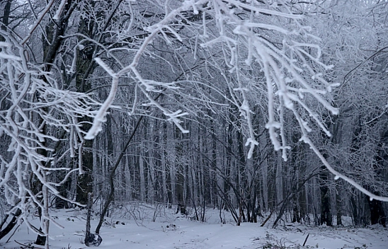 Malatya'da Hava Durumu! 17 Ocak'ta Hava Nasıl Olacak?