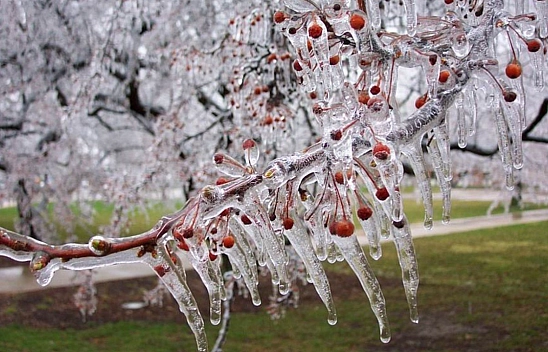Malatya'da Hava Durumu! 21 Ocak'ta Hava Nasıl Olacak?